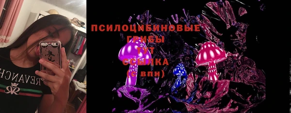 стаф Армянск