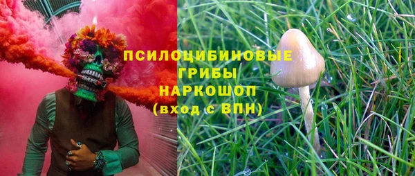 стаф Армянск