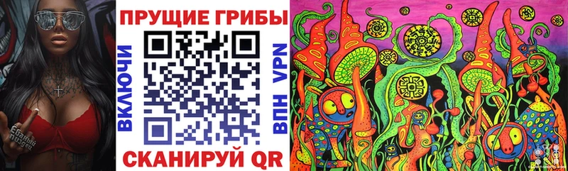 купить   Палласовка  Галлюциногенные грибы прущие грибы 